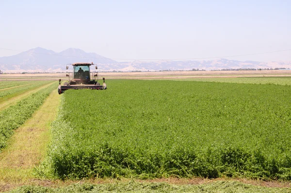 Combine Harvester corte — Fotografia de Stock