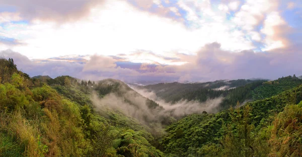 stock image View of Wiararapa