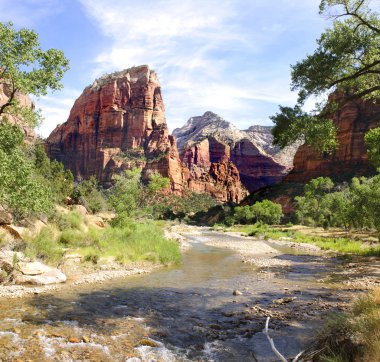 Zion national park