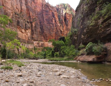 Zion national park