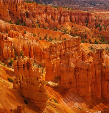 Utah 'taki Bryce Canyon Ulusal Parkı Vista' sı.