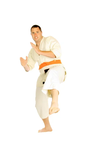 Martial art person isolated — Stock Photo, Image