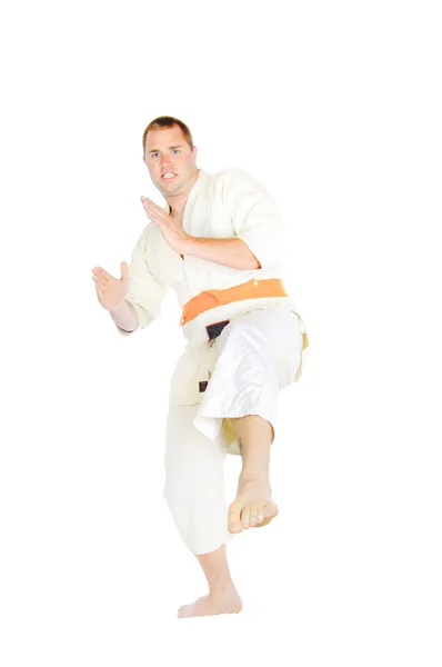 Martial art person isolated — Stock Photo, Image
