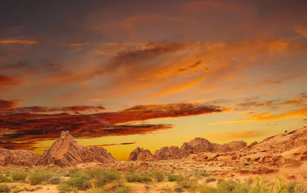 Beautiful colored sunset — Stock Photo, Image