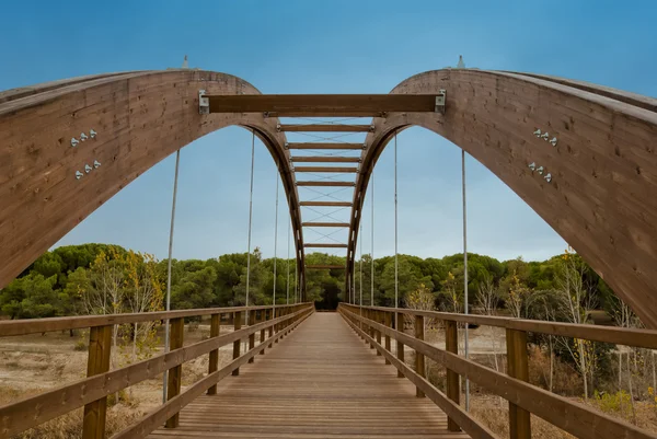 Ponte de madeira leva para a floresta — Fotografia de Stock