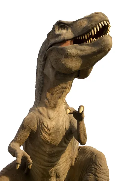 Tyrannosaurus rex na białym tle w kolorze białym Obrazek Stockowy