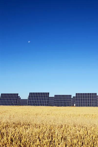 Paneles solares para producir electricidad del sol — Foto de Stock