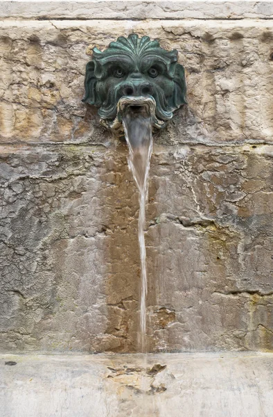 Fonte ornada com água, Lyon, França — Fotografia de Stock