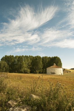 Güvercin dovecote bebek kuş manzara