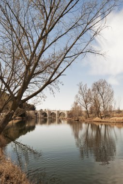 yapraksız ağaçları ile nehir üzerinde taş köprü