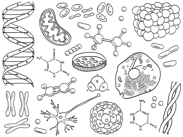 Icone di biologia e chimica isolate — Vettoriale Stock