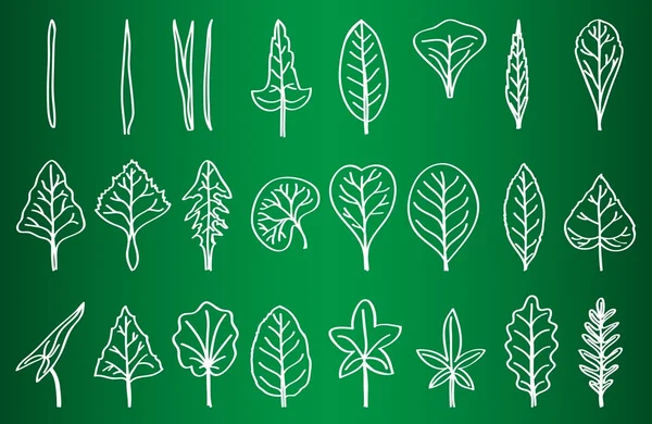 Коллекция силуэтов листьев в школьном совете — стоковый вектор