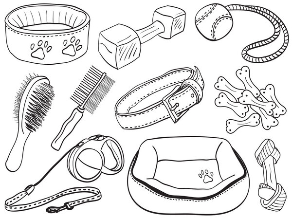 Dog accessories - pet equipment hand-drawn illustration