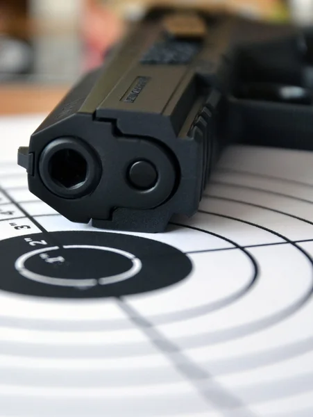 stock image Gun and target