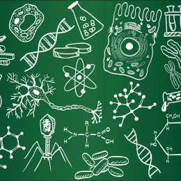 Biology background Stock Photos, Royalty Free Biology background Images ...