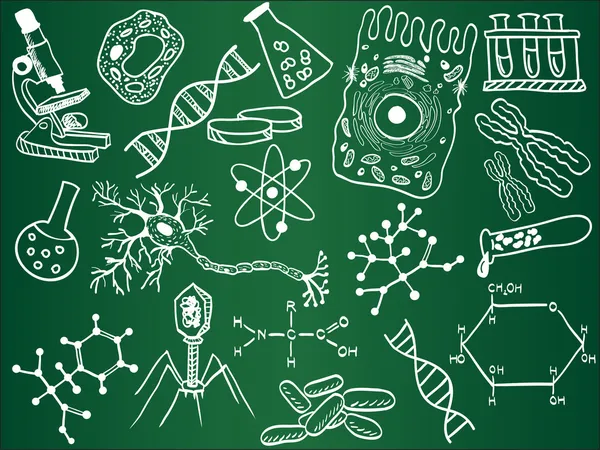 Biology sketches on school board — Stock Vector