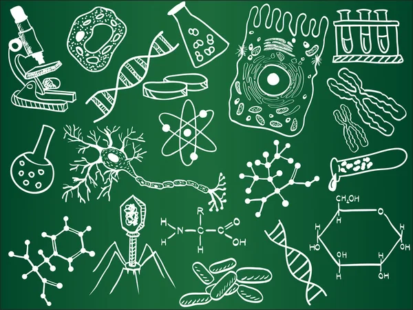 Desenhos de biologia no quadro da escola —  Vetores de Stock