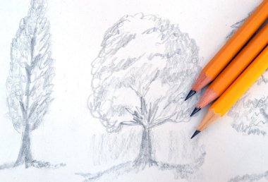 Pencil drawing of shaded trees clipart