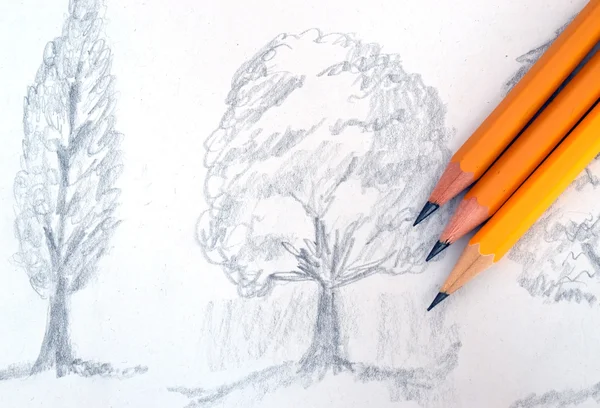 Stínované stromů kresba tužkou — Stock fotografie
