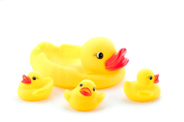 stock image Toy Duck Family