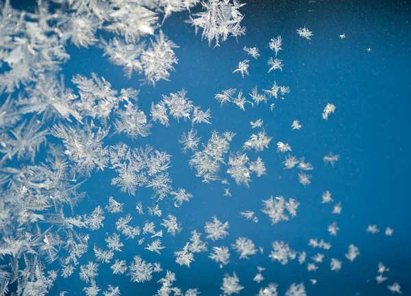 Frozen window — Stock Photo, Image