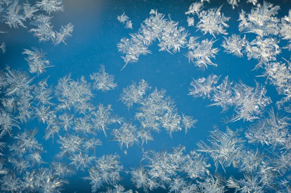 stock image Frozen window