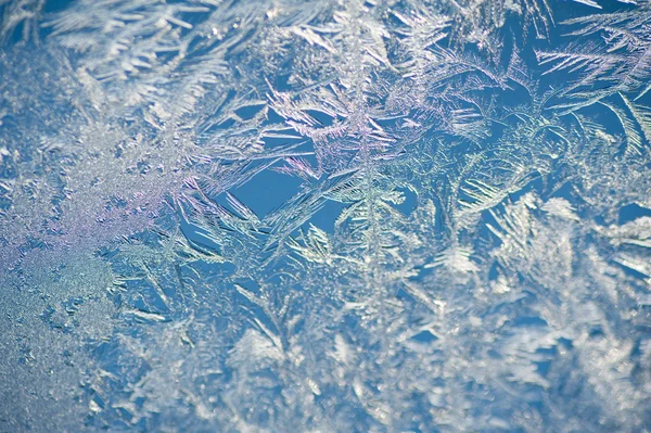 Fenêtre gelée — Photo