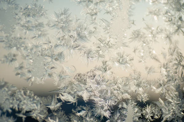 Замороженное окно Стоковая Картинка