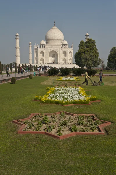 Taj Mahal şi sunt flori. — Fotografie, imagine de stoc