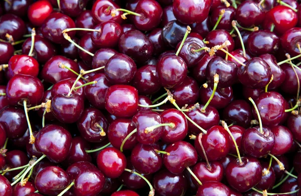 Stock image Cherry