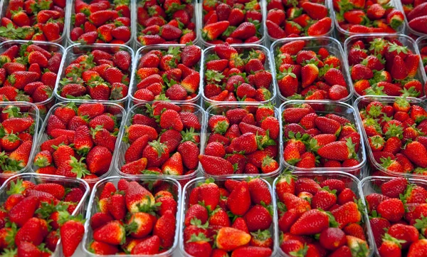 Strawberry's — Stock Photo, Image