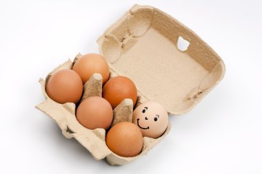 Six Eggs clipart