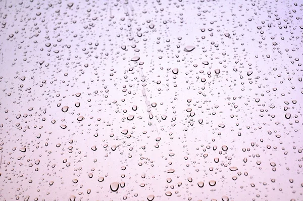 Rain dropped window — Stock Photo, Image