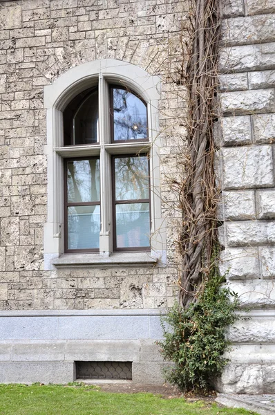 stock image Ancient castle window