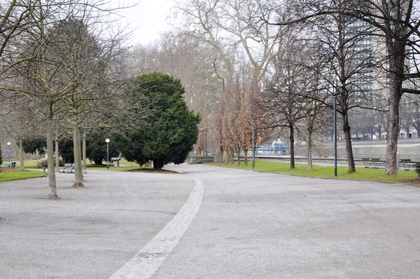 stock image Avenue in the park