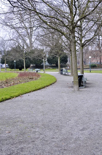 stock image Avenue in the park