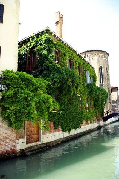 venice evleri