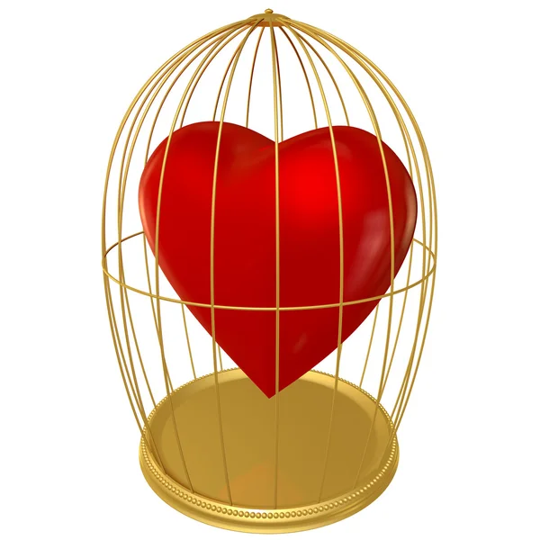 Hjärtat i en bur — Stockfoto
