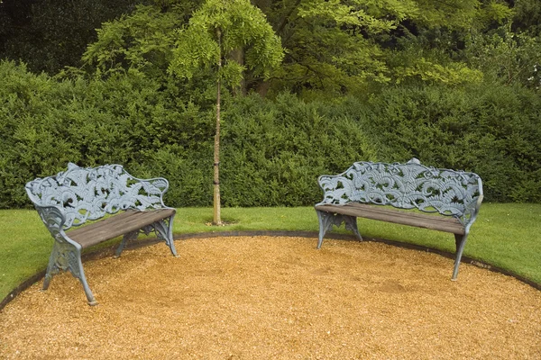 Benches in the Park — Stock Photo, Image