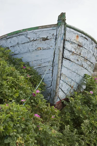 Boot und Blumen — Stockfoto