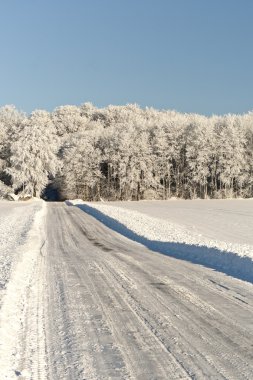 kış zamanında orman yolu