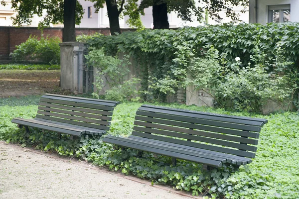 Пустые скамейки — стоковое фото