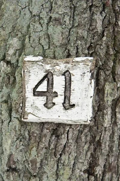 Numero 41 — Foto Stock