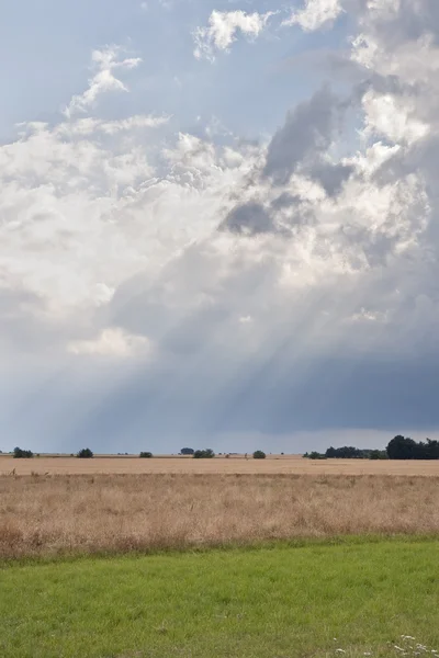 stock image Clouds Over the Corn Field