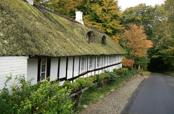 Εξοχικό σπίτι με thatched οροφή — Φωτογραφία Αρχείου
