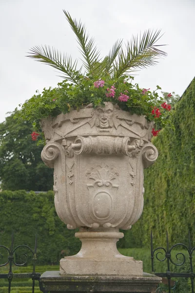 Flower Pot — Stock Photo, Image