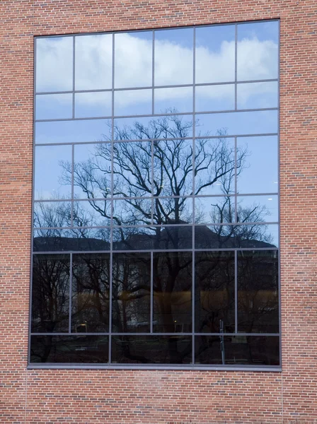 Reflexões i uma janela — Fotografia de Stock