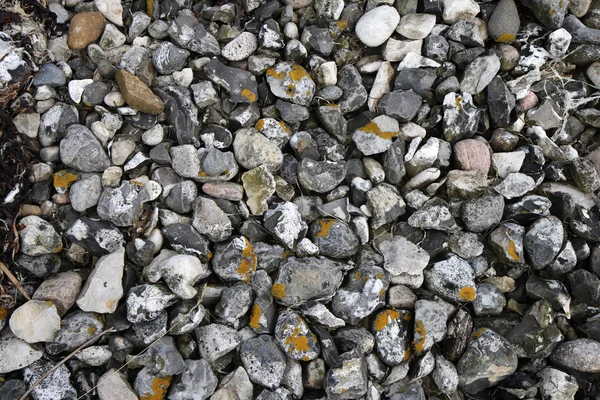 Pebbles and Stones — Stock Photo, Image