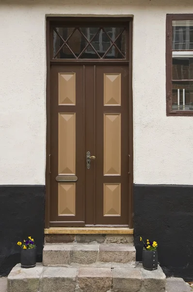 Ruskea ovi — kuvapankkivalokuva