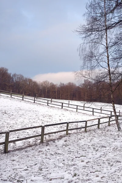 Fence in the Snow — Stock Photo, Image